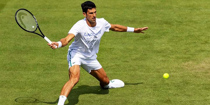 Djokovic vs Kecmanovic: prediction for the Wimbledon match